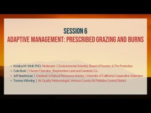 Session 6